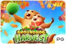 ground hog harvest game