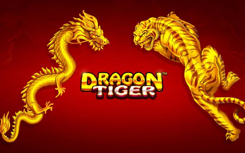 dragon vs tiger game